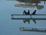 Man and his dog on the dock